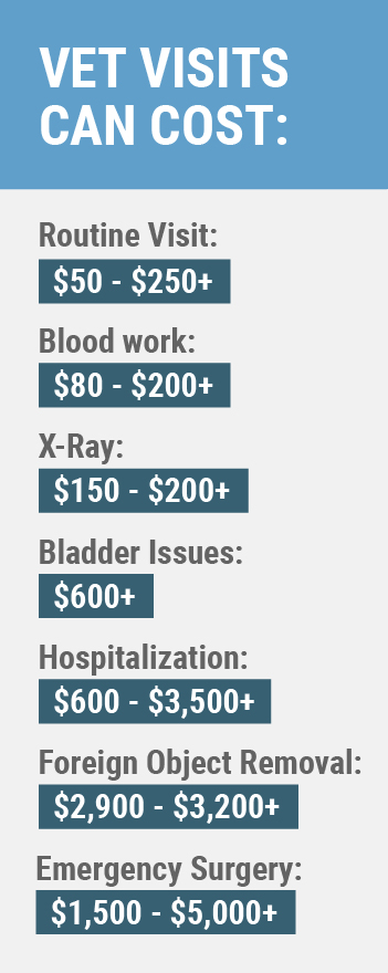 Vet visits without pet insurance can cost up to $250 for routine visits, $200 for blood work or x-rays, up to $3,500 for hospitalization, and up to or over $5,000 for surgery. 